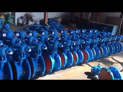 水,蒸気,油の使用のための鋳鋼WCBトリプルオフセットフラングバタフライバル