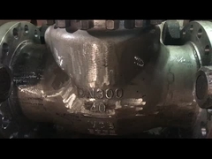 ASME API 標準 WCB CF8 CF8M 水蒸気と油の使用のためのスイングチェックバルブ