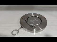 ASME API GB 標準 鋳鋼 ステンレス鋼 単盤チェックバルブ