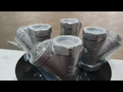 800PSI ステンレス鋼 304 316 CF8 CF8M BSP NPT 女性 糸付きY型シッター