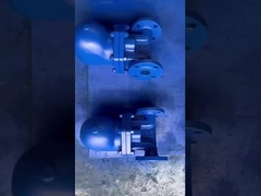 鋳造鋼 ステンレス鋼 WCB CF8 CF8M レベルボール フローティング 蒸気キャップ 蒸気使用