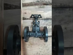 水蒸気油/腐食性液体のための鋳造鋼不鋼鉄のゲートバルブ