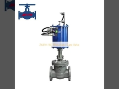 Z641H-16C パネウマティックゲートバルブ